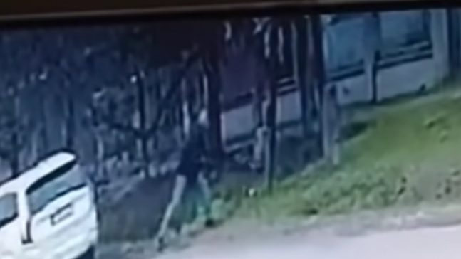 Két kézzel fogta a lábait, és úgy csapkodta több mint egy tucatszor villanyoszlophoz a kutyát egy férfi Abonyban – videó csak erős idegzetűeknek