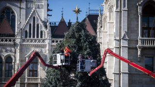 Az Ország Karácsonyfája 2025-ben.