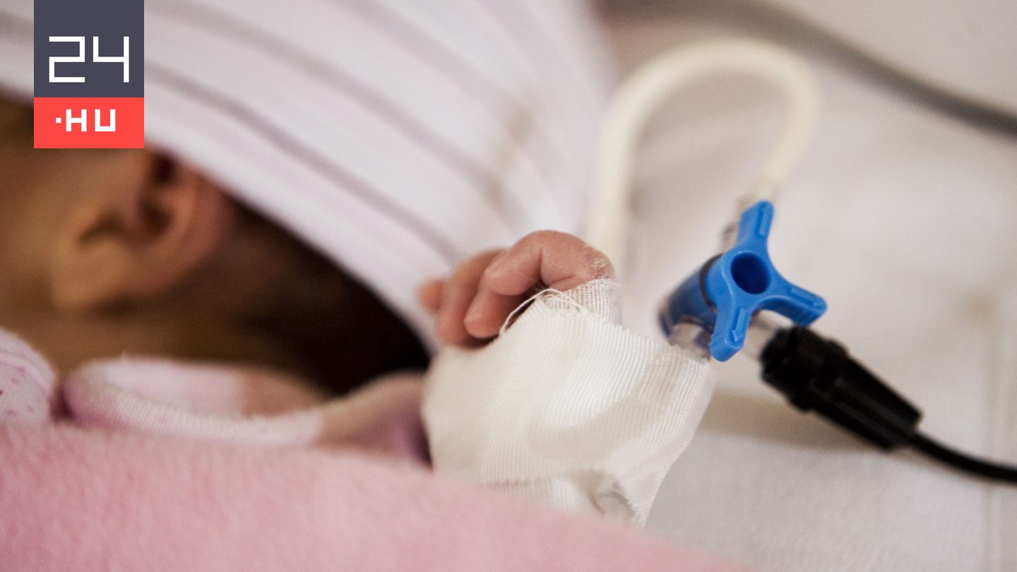 70 kórházban élő baba találhat családra karácsonyig