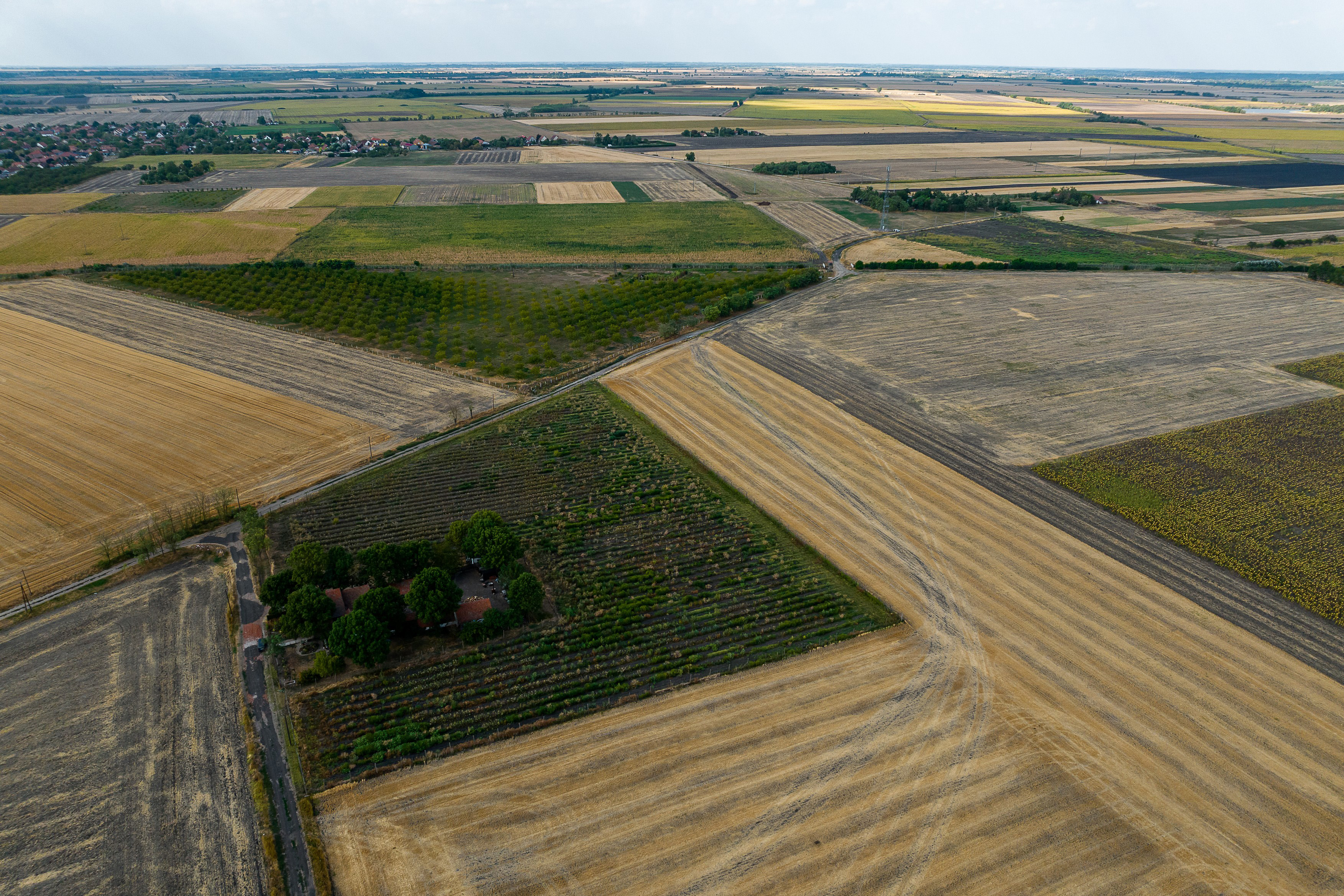 Civilek alkotnák meg, amit a törvényhozás elmulasztott 1