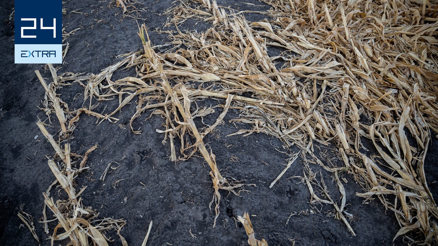 Civilek alkotnák meg, amit a törvényhozás elmulasztott