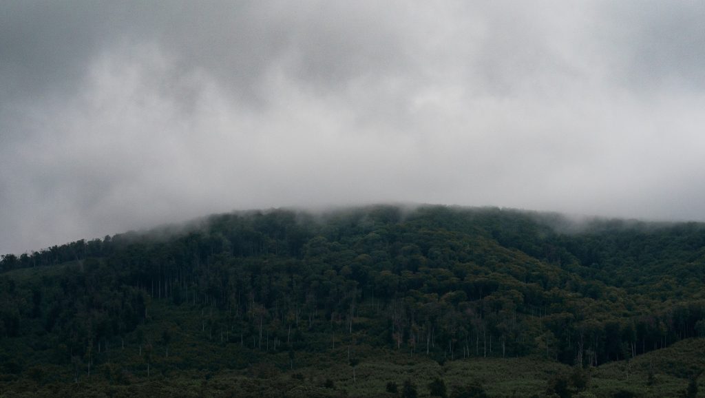 Havi négyszázezer forintot ér a szerzetesek önkéntes munkája