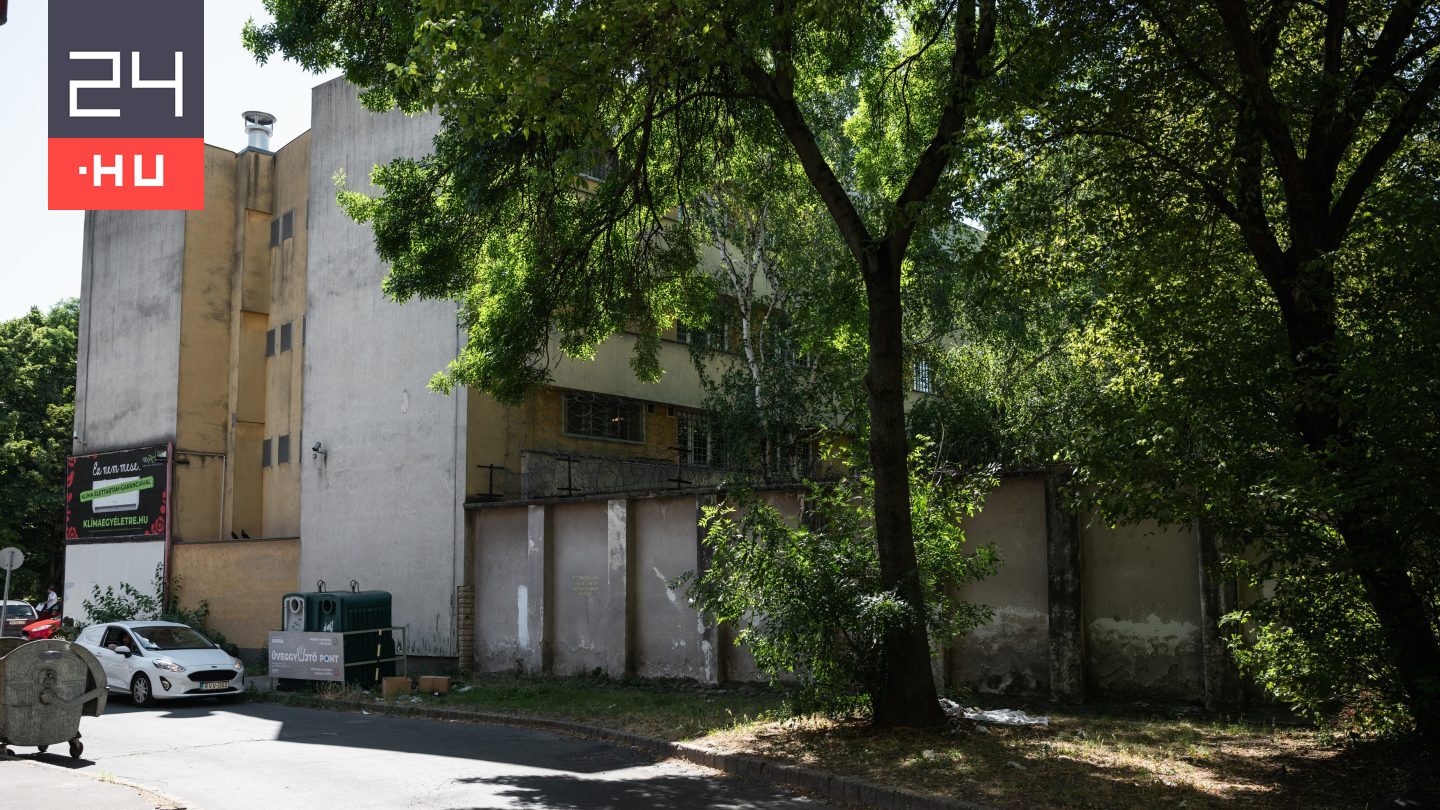 Telex: Így büntetnek és jutalmaznak a Szőlő utcában a házirend szerint