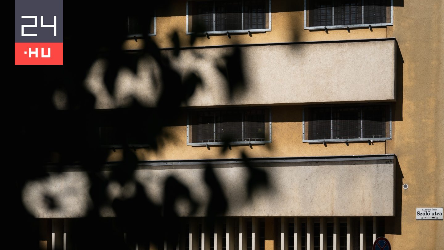 Erről írta szakdolgozatát a Szőlő utcai gyerekverő