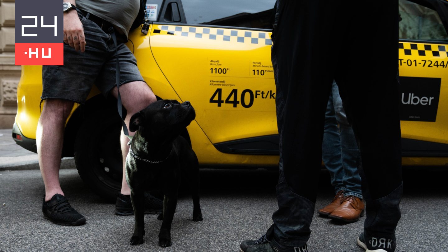 Metál Zoltán: Számos olyan taxis jelent meg a piacon, akiknek nemhogy jogosítványa, általános iskolai végzettsége sincs
