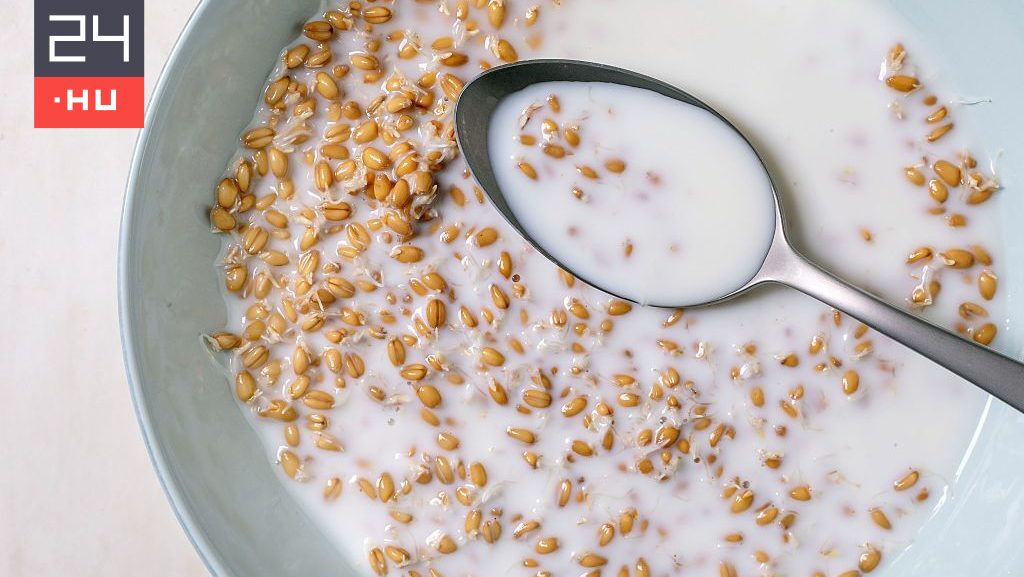 „Örök vegyi anyaggal” fertőződhettek mindennapi gabona alapú termékeink