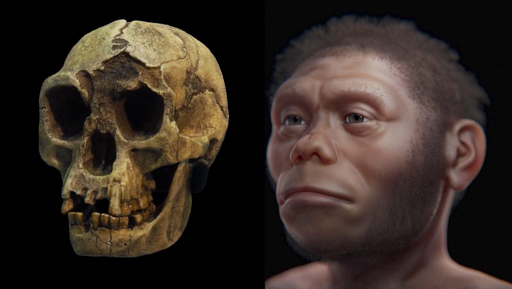 Kiderült, miért halhattak ki a hobbitok