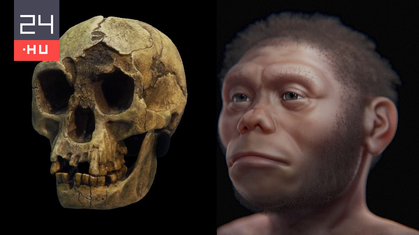 Kiderült, miért halhattak ki a hobbitok