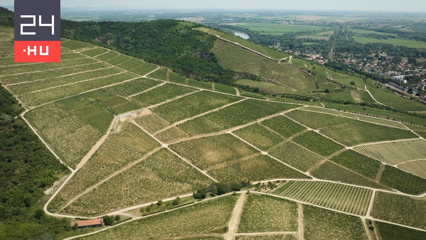Váratlan fordulat: szenteste megnyitják a termőföldpiacot a pénzügyi magánbefektetők előtt