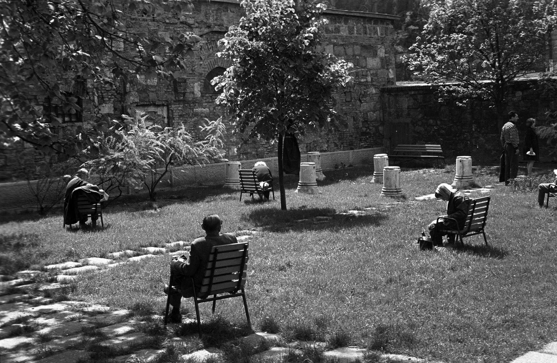 Mit keres egy „városligetnyi lyuk” Budapest szívében? 15