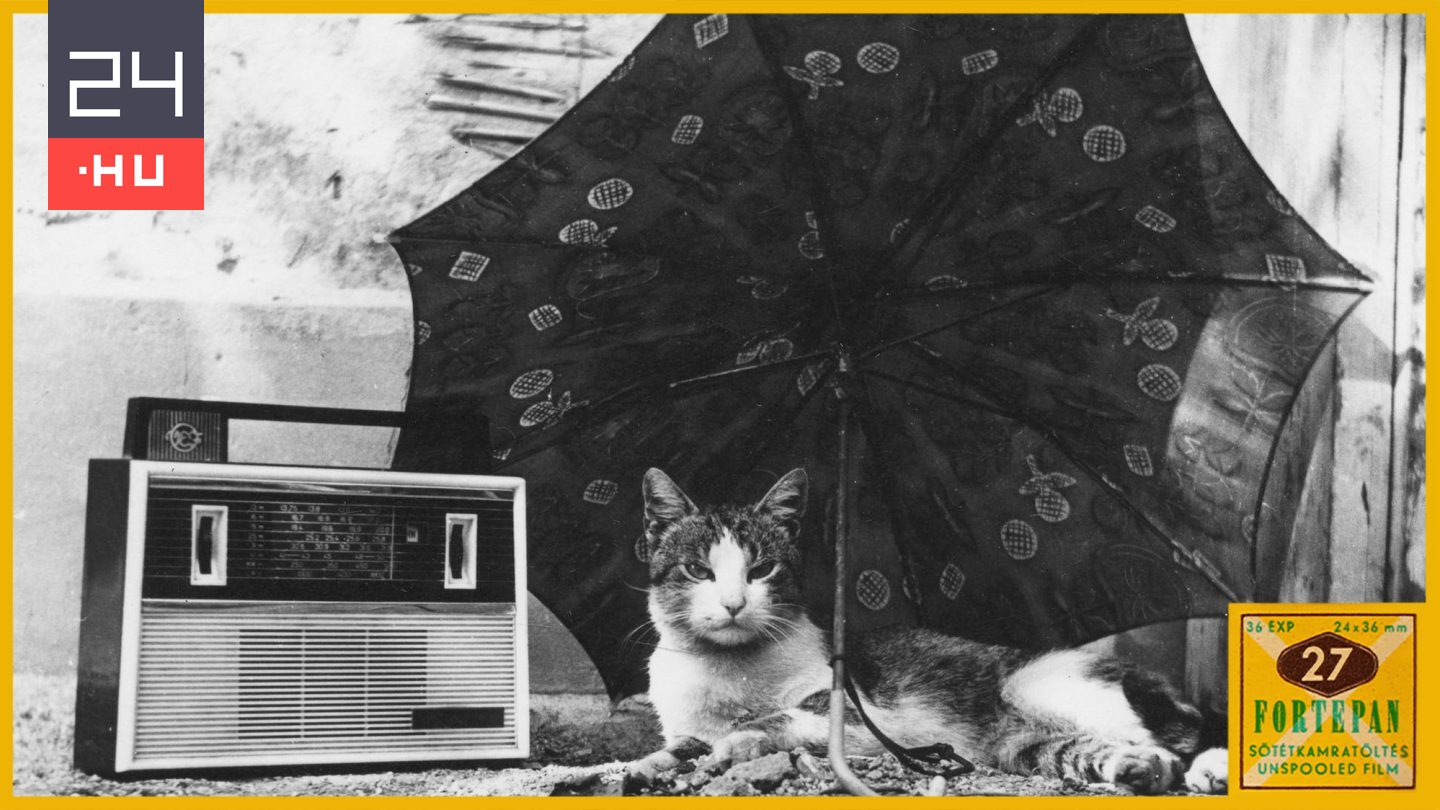 Száz éve szól a rádió – Nemzetegyesítés, propagandaeszköz, tömegszórakoztatás