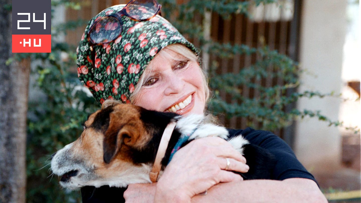 Ez volt az egyik utolsó videófelvétel Brigitte Bardot-ról