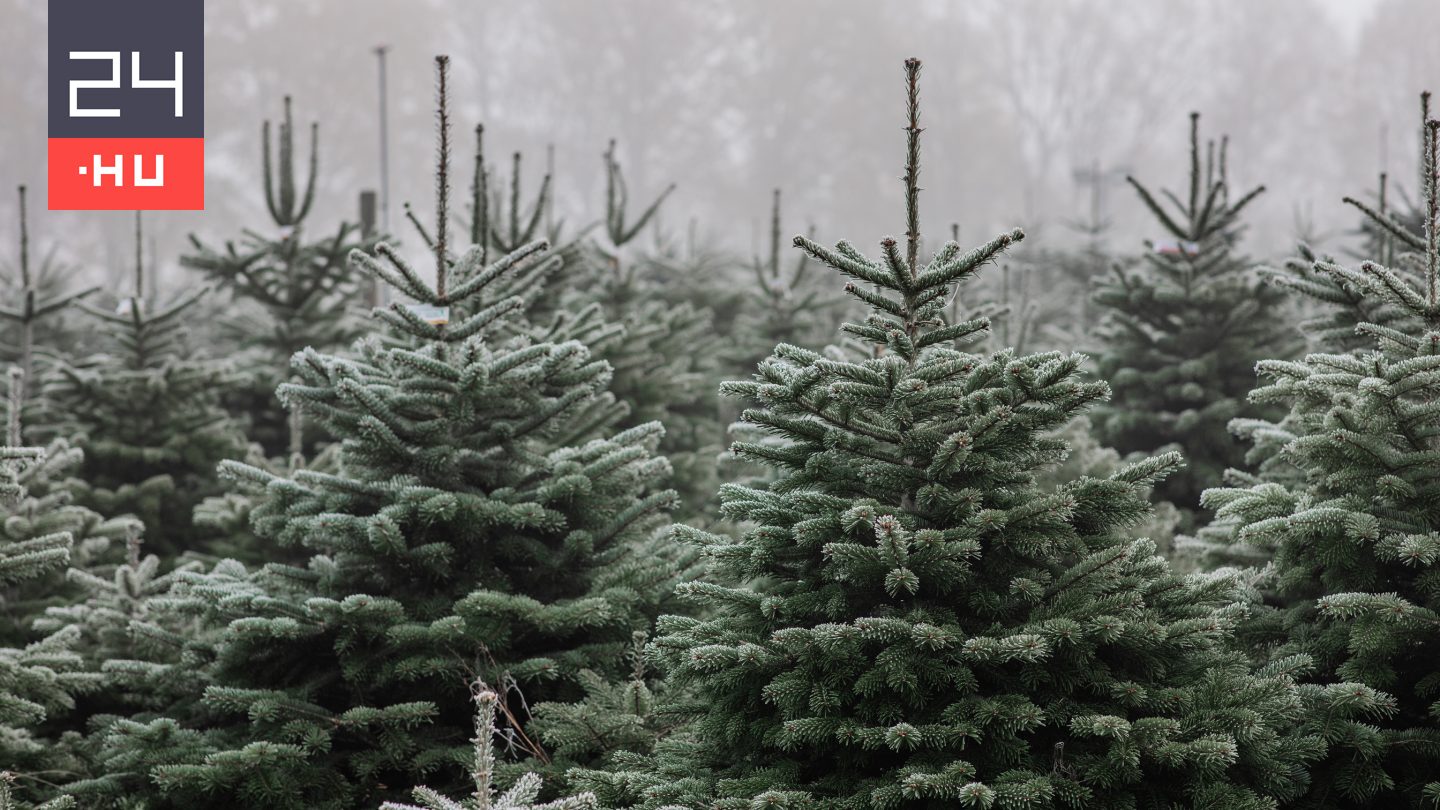 A nap legfontosabb hírei – 2025. 12. 25.