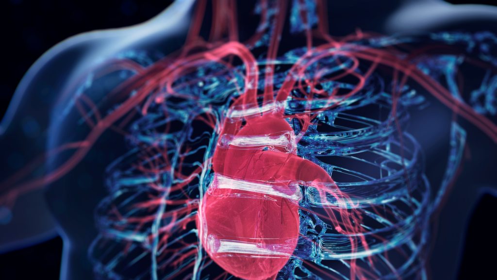 A koleszterinnél is jobban jelezheti a szívbetegség kockázatát ez a fehérje