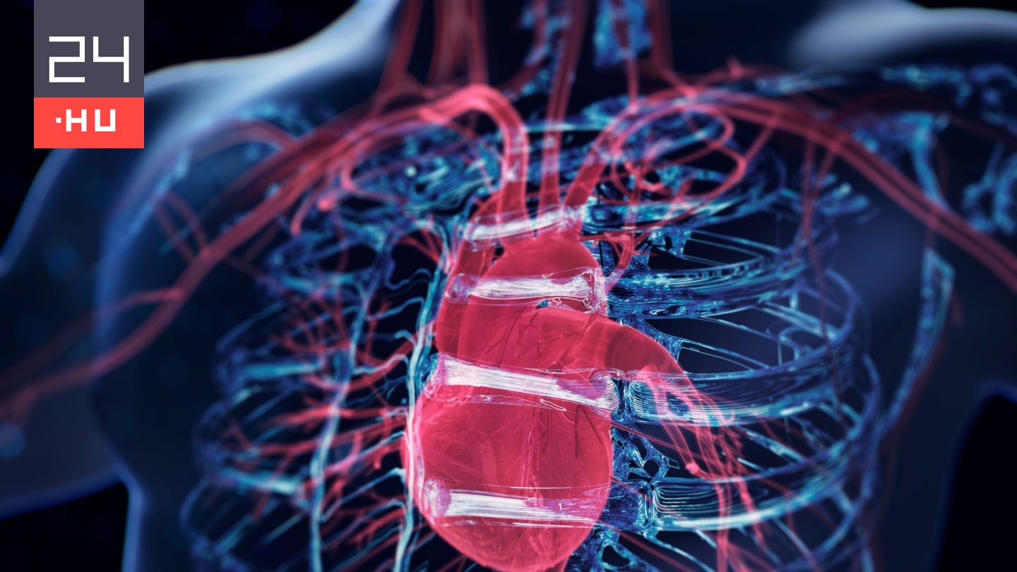 A koleszterinnél is jobban jelezheti a szívbetegség kockázatát ez a fehérje