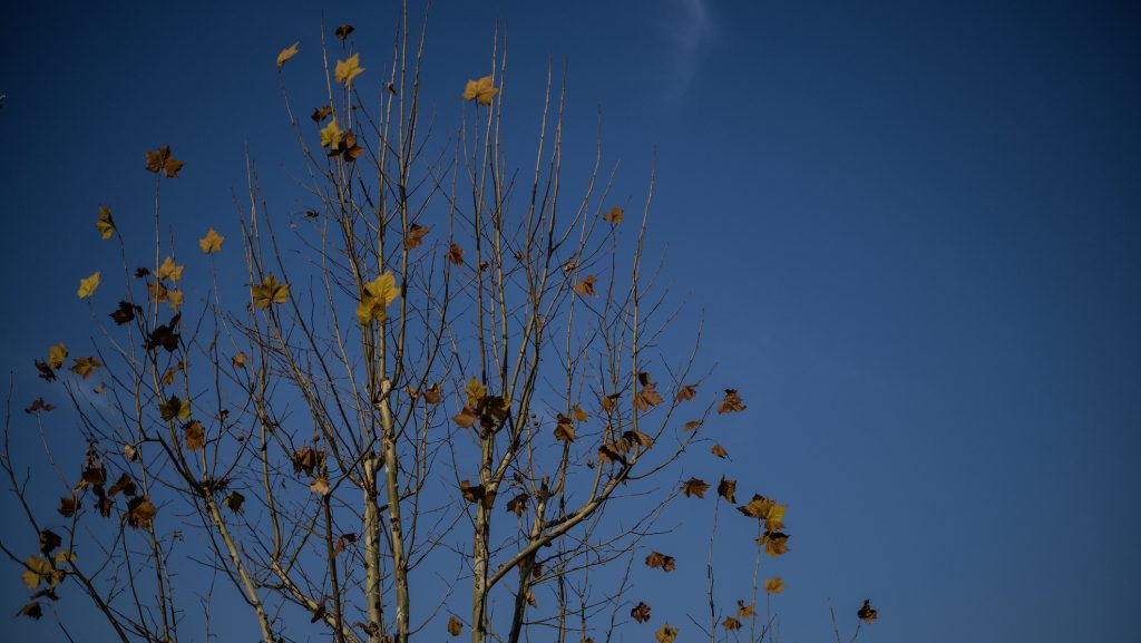 Animáción mutatjuk, hogy érkezik a viharos szél