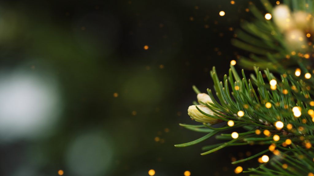 Magyar Péter megígérte, hogy kormányváltás esetén december 24-e munkaszüneti nap lesz