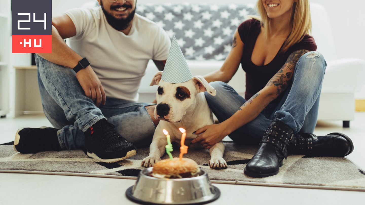 Nem igaz, hogy egy kutyaév hét emberinek felel meg