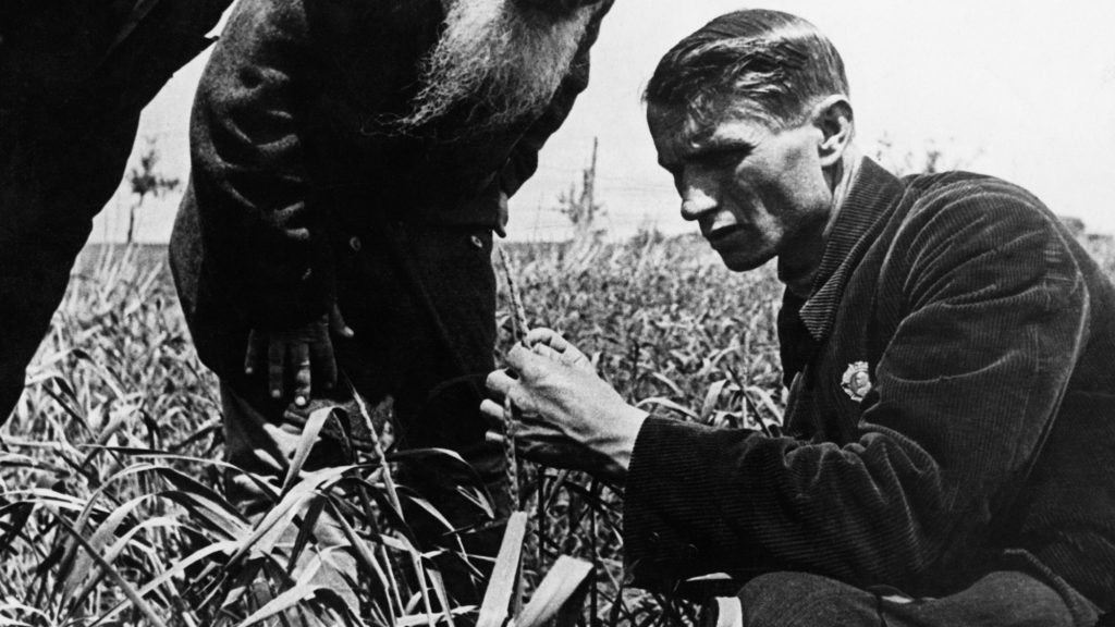 Neki köszönhetjük a magyar narancsot és gyapotot