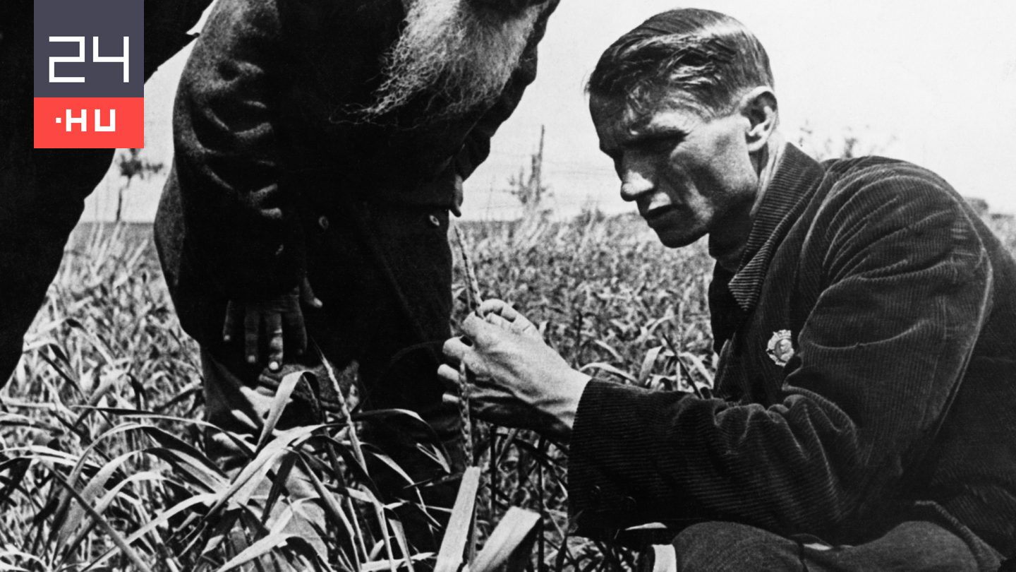 Neki köszönhetjük a magyar narancsot és gyapotot