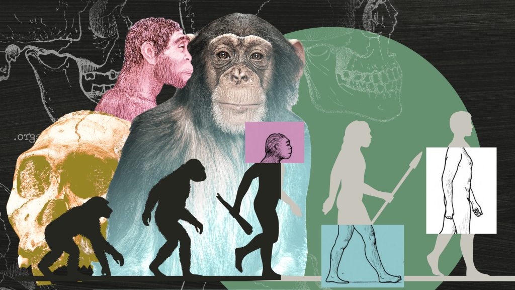 Kik voltak a rejtélyes csillagemberek és a hobbitok?