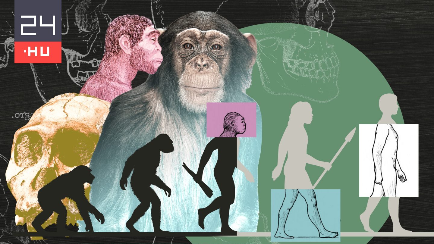 Kik voltak a rejtélyes csillagemberek és a hobbitok?