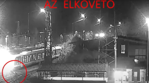 az elkövető