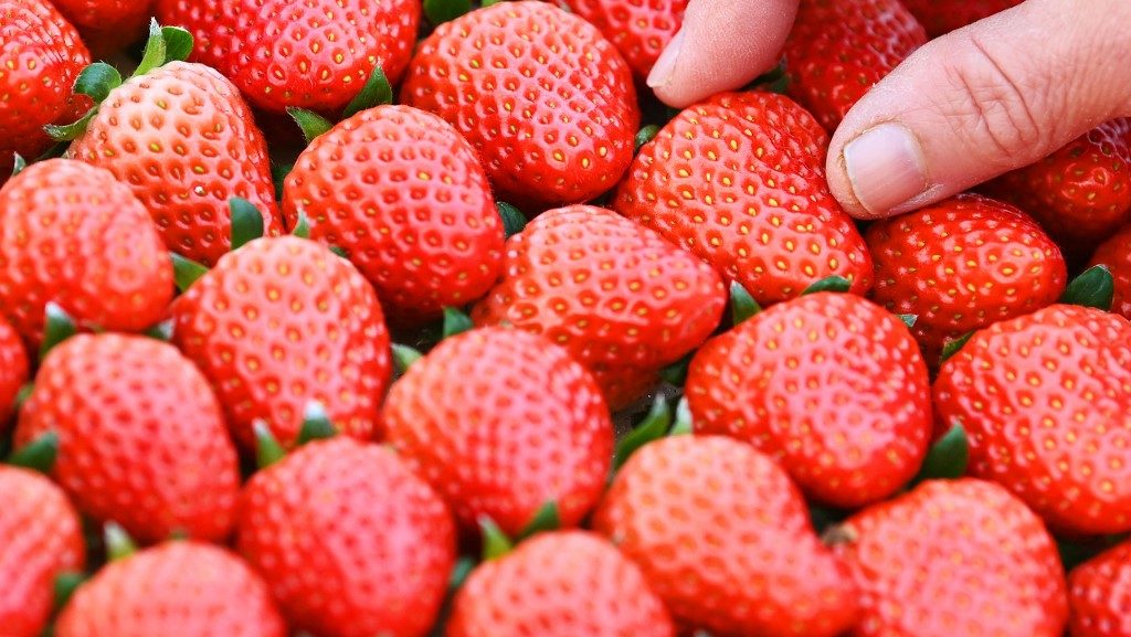 Népszerű gyümölcsöt hívott vissza a SPAR