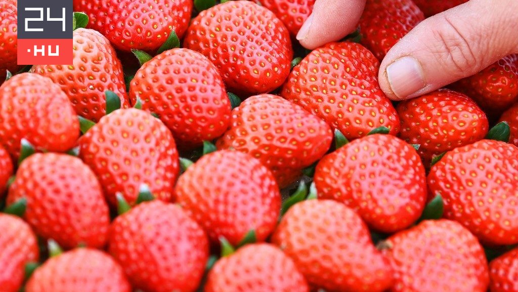 Népszerű gyümölcsöt hívott vissza a SPAR