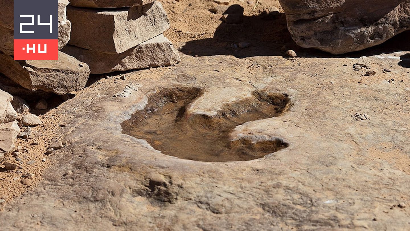 70 millió éves dinoszaurusz-lábnyomokat találtak egy ősi sziklatömbön