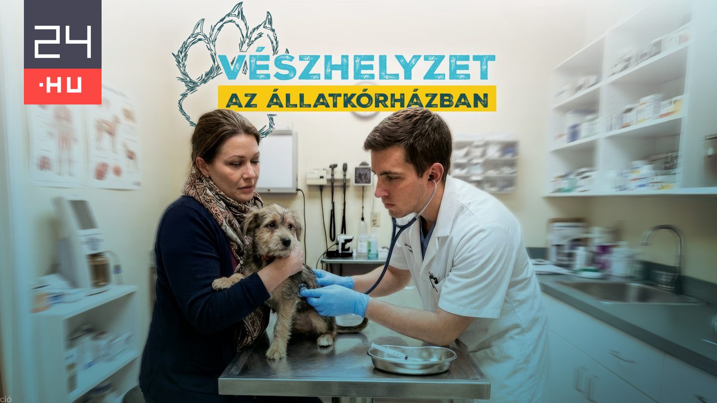 Vészhelyzet az állatkórházban címmel indul az ország első állatorvosos realityje a TV2-n