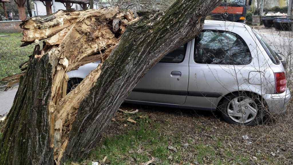 Rekordot döntött idén a nyári viharkár, de egy másik kategória még ennél is több kárigényszámot hozott