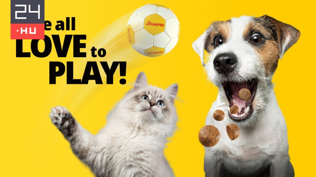 Josera Petfood az Eb-n: sport és márka együtt