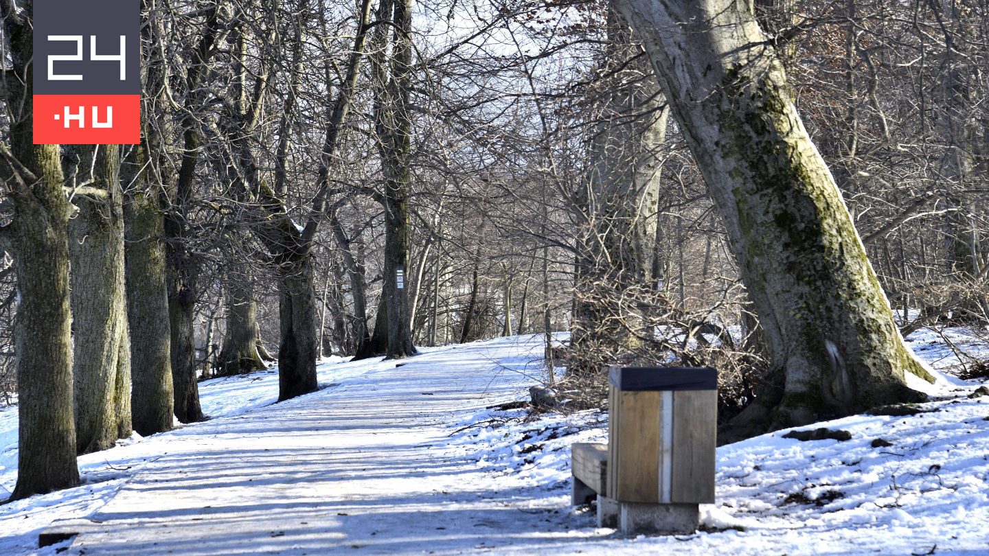 Forgalomkorlátozásra kell számítani a Normafánál