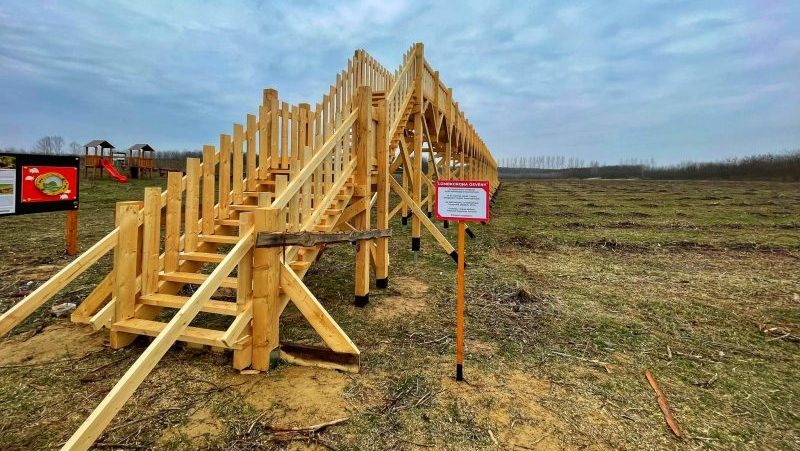 Gyanúsítottként hallgatták ki a polgármestert, aki kivágott erdő helyén épített lombkoronasétányt