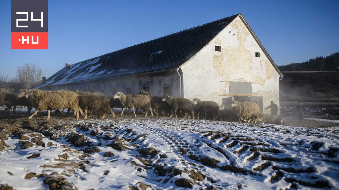 Sarkvidéki hideg Magyarországon: mínusz 24 fokot mértek Zabarban