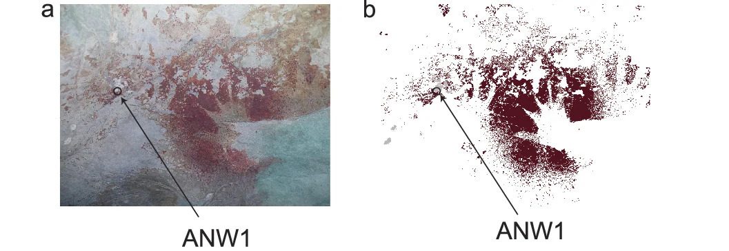 Az indonéziában felfedezett barlangrajzotk.