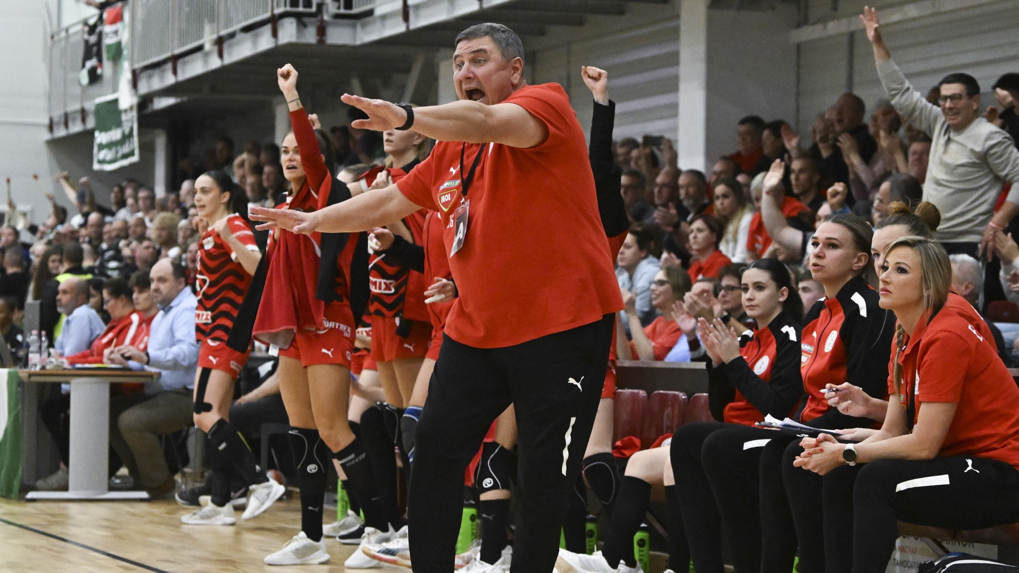 Női kézilabda Magyar Kupa negyeddöntő FTC Esztergom Elek Gábor