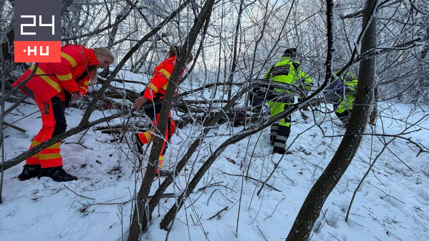 Holttestet találtak egy Gödöllő melletti erdőben