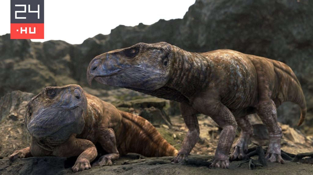Évtizedes rejtélyt oldott meg egy Magyarországon talált dinoszauruszkoponya