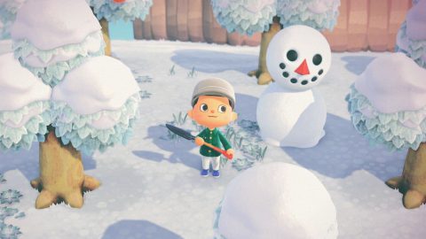 Animal Crossing New Horizons teszt Nintendo Switch 2