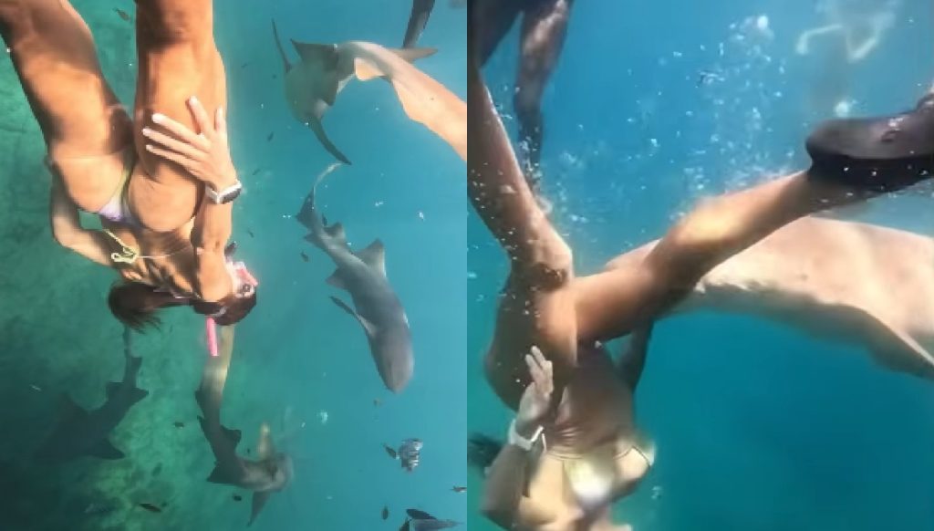 Horrorisztikus felvételen, ahogy egy cápa rátámad a nőre szabadtüdős merülés közben