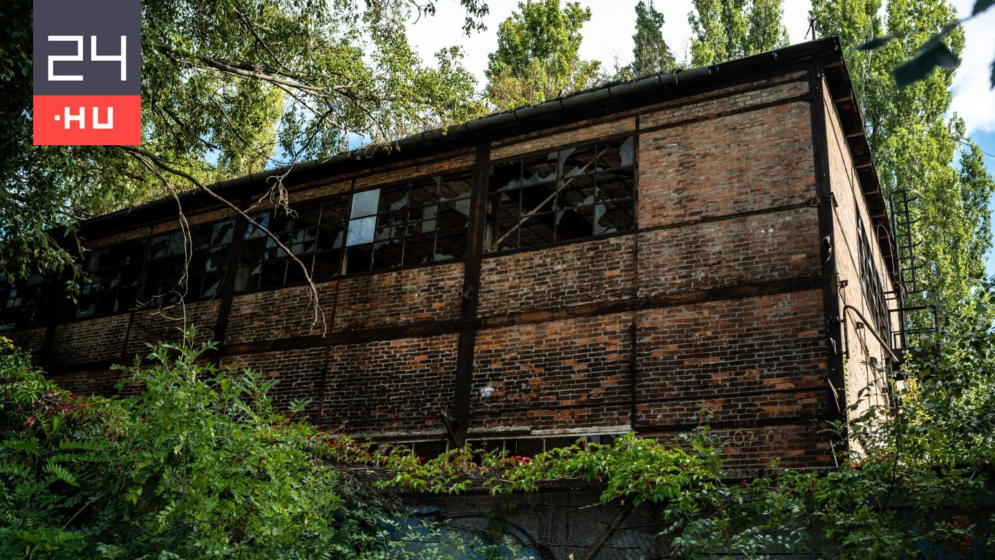 Huszonéves sortolónő veszi meg a Ganz Hajógyár telkét
