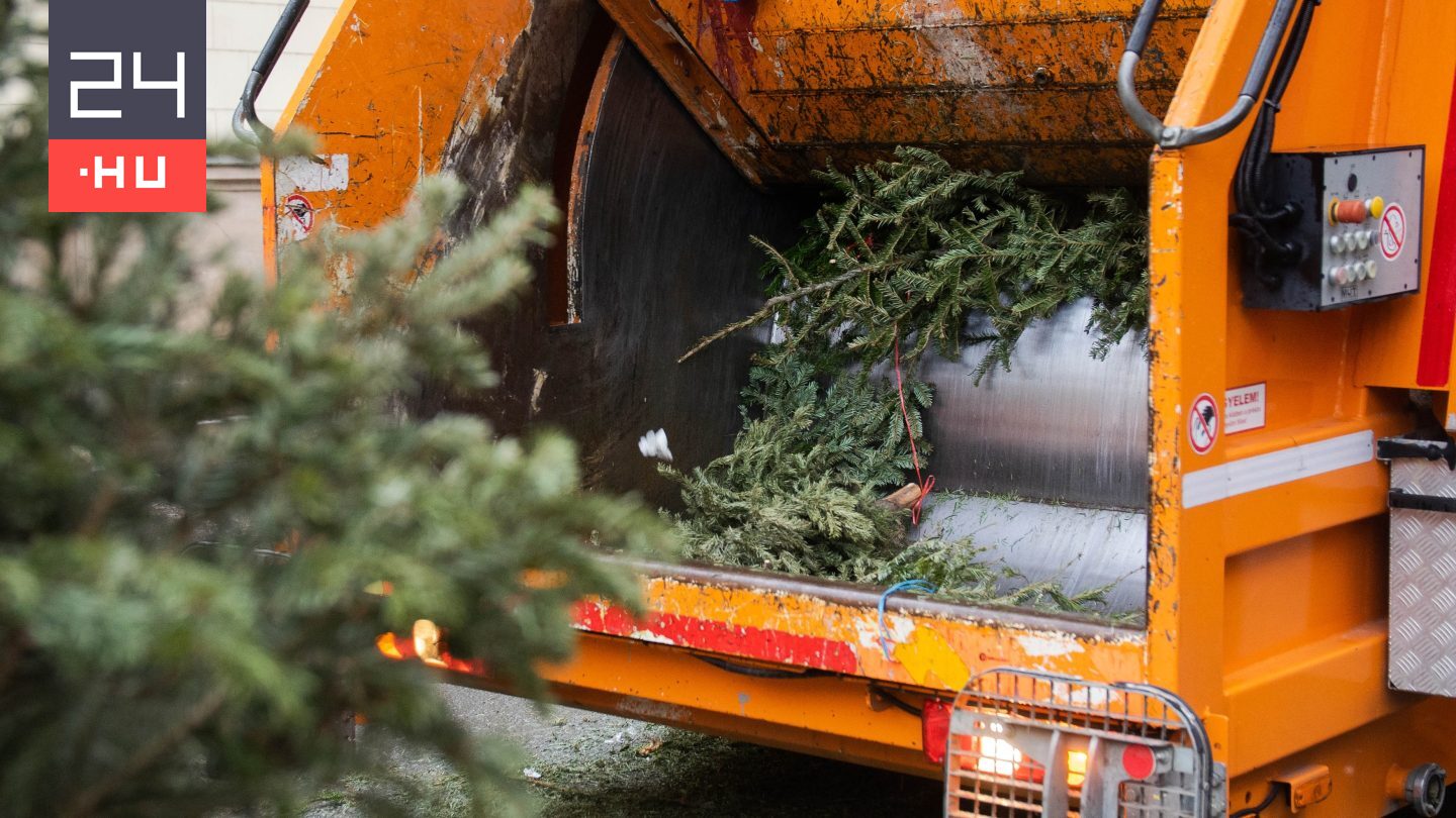 Mi történik a kidobott karácsonyfákkal?