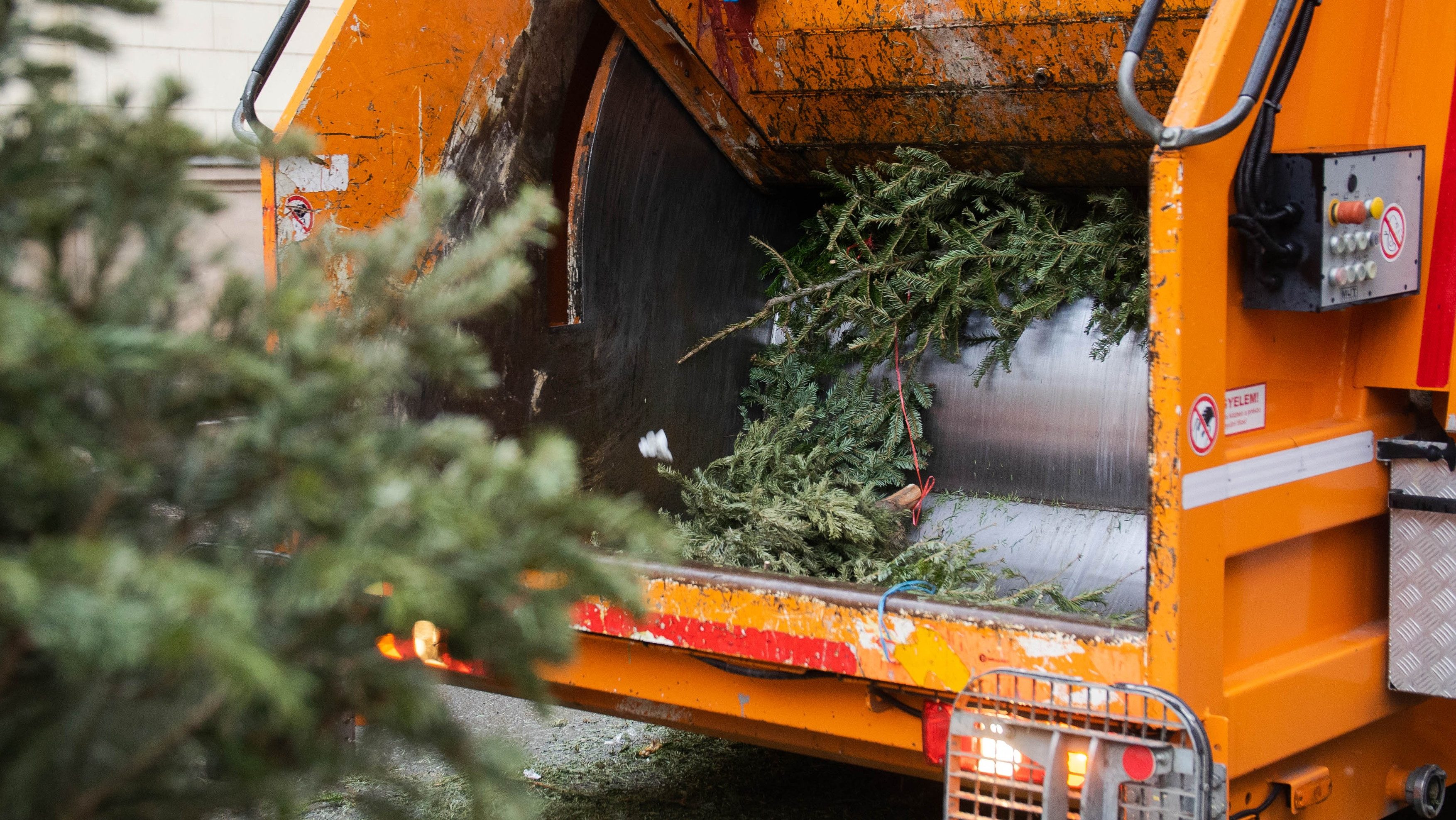 karácsonyfák elszállítása az ünnepek után