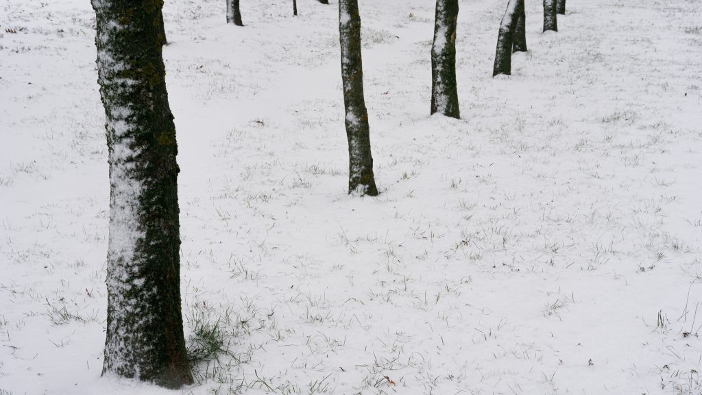 Hidegben eltévedt fiatal nő életét mentettek meg a rendőrök