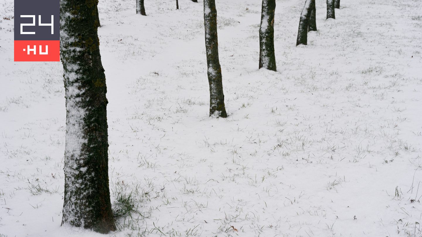Hidegben eltévedt fiatal nő életét mentették meg a rendőrök
