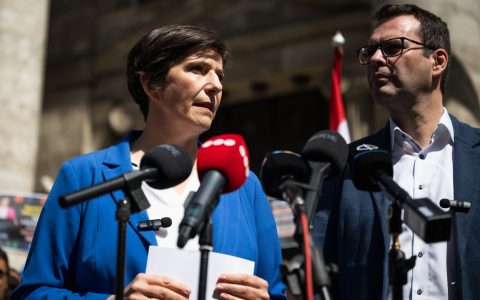 Dobrev Klára, Horváth Csaba