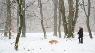 Havazás Magyarországon