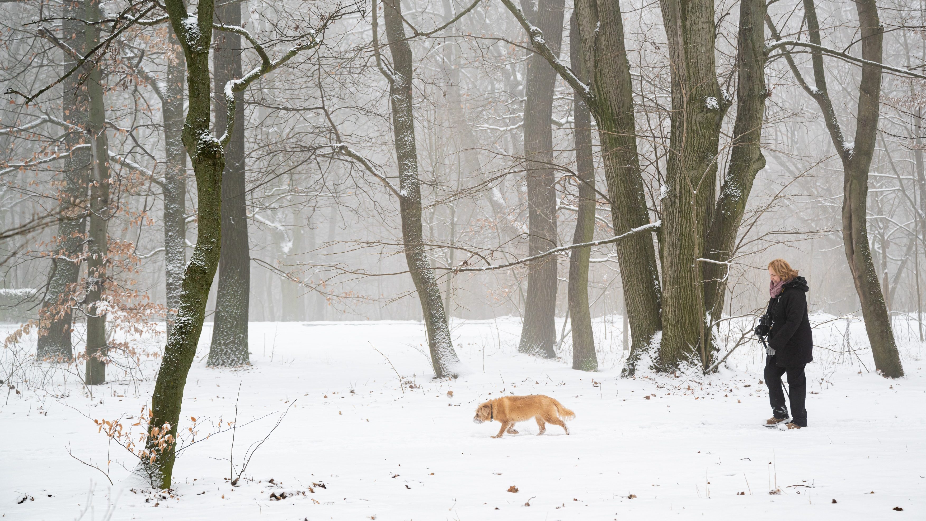 Havazás Magyarországon